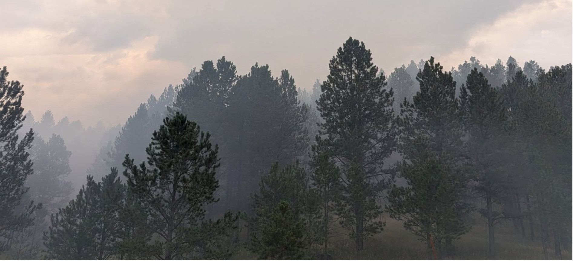 Several New wildfires reported Monday
