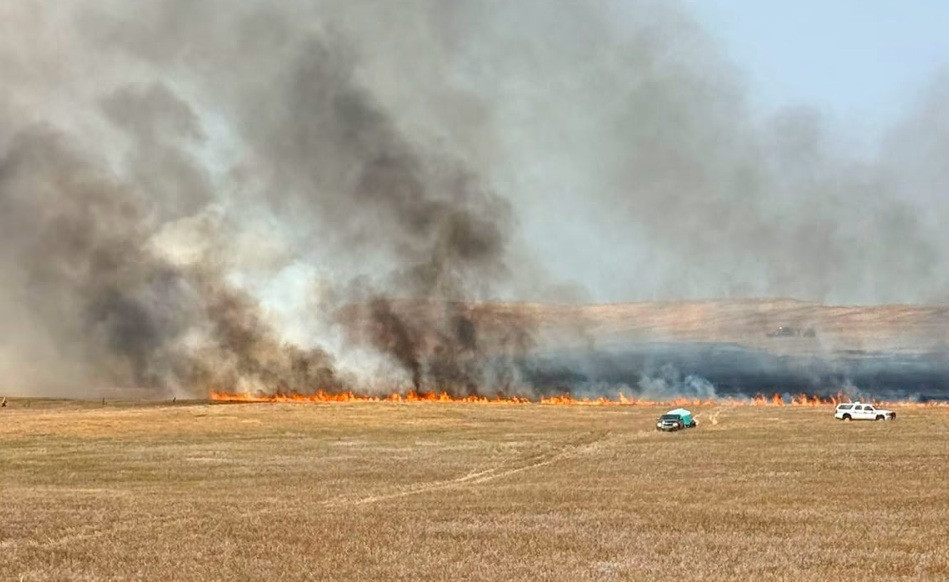 Bear Butte Fire sparked by discarded cigarette