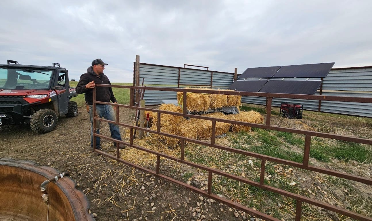 Calving goes high tech