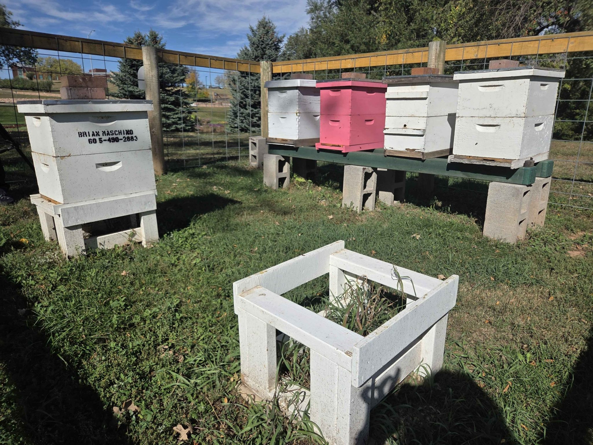 Hives For Heroes Organization Harvests More Than 100 Pounds of Honey, Brings Growth and Community to Veterans