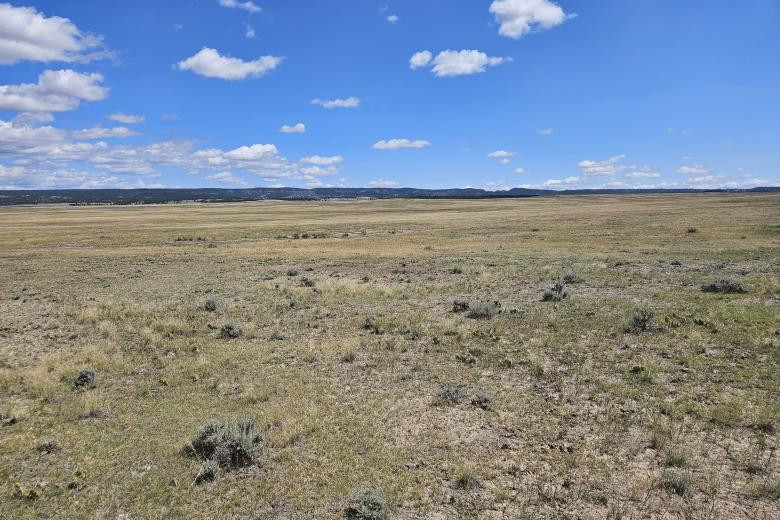 Proposed Black Hills uranium mine gets approval to start building infrastructure on portion of site