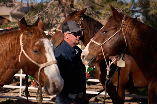 Threat of equine virus looms over nation’s largest rodeo event in Las Vegas