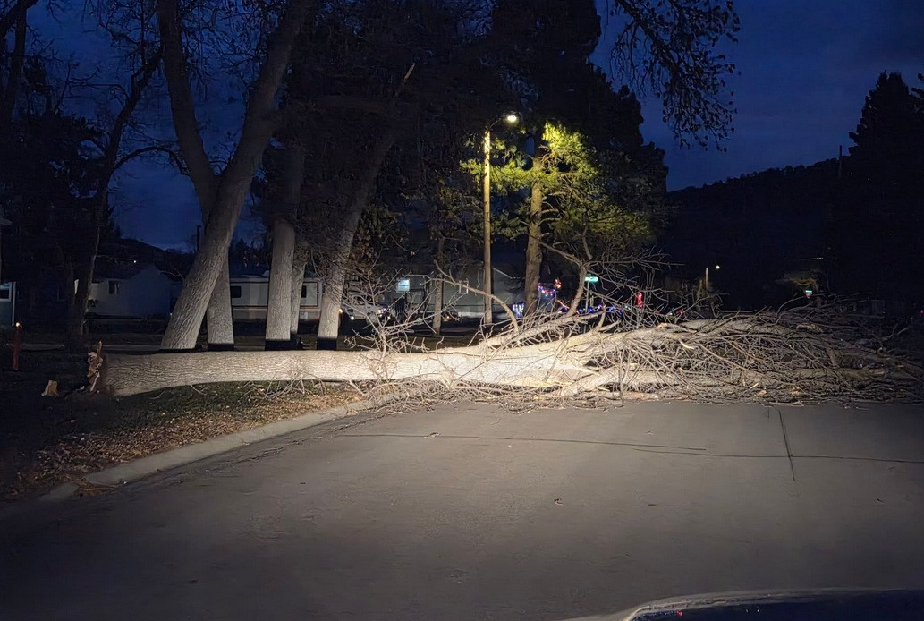 High winds causing power outages, damage around the Black Hills
