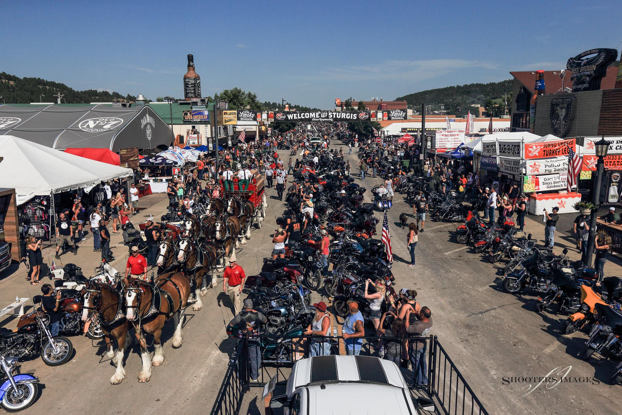 Clydesdales coming to Sturgis for 85th Rally