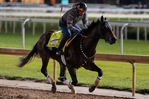 Robusta is in the Kentucky Derby field, giving Cristian Torres the chance to ride