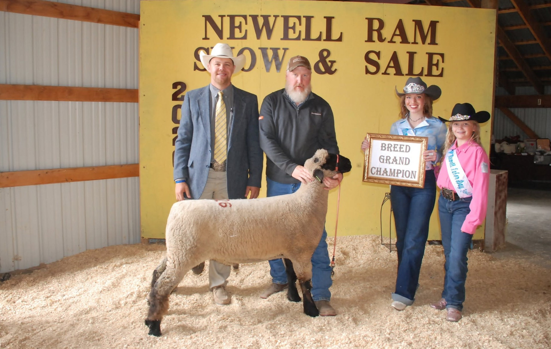Newell Ram Sale Sees Higher Averages