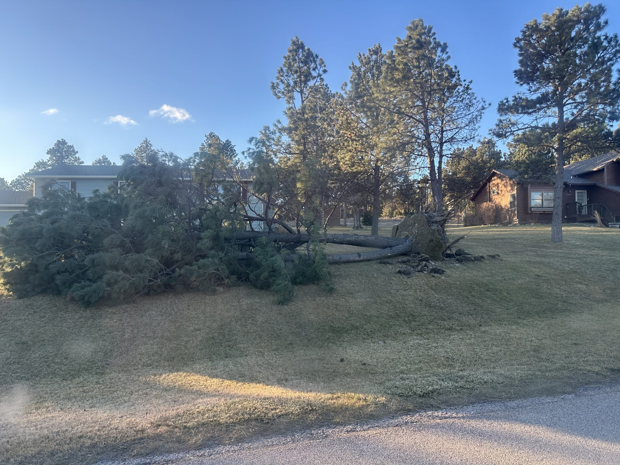 Rapid City Opens Remote Tree Debris Sites Following Major Wind Storm