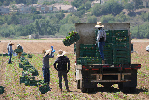 Trump curbs immigration enforcement at farms, meatpacking plants, hotels and restaurants