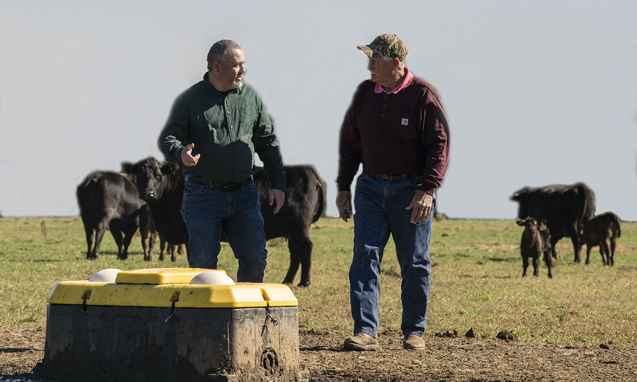 South Dakota land grant university loses $86M in livestock research grant, all higher ed in state sees cuts