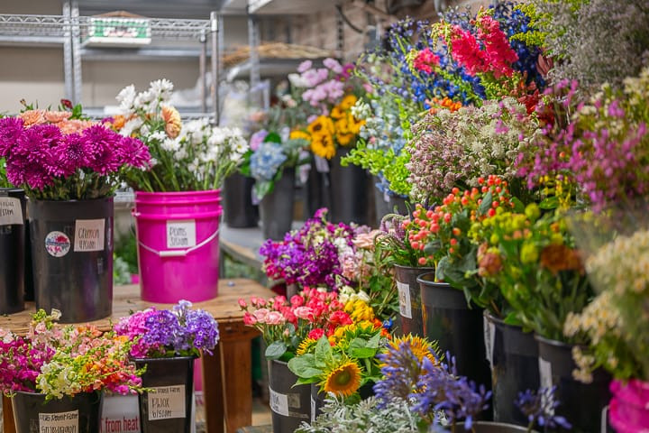 Victoria Garden flourishes through expansion and community in Downtown Rapid City