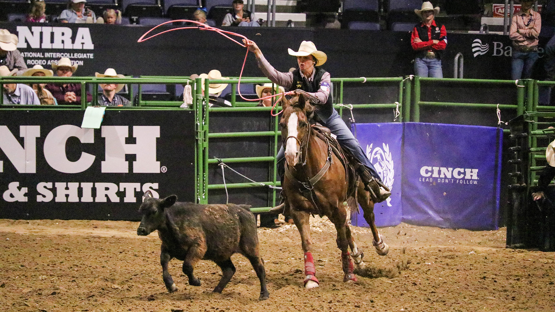 Yellow Jackets Continue Action at the 2025 College National Finals Rodeo