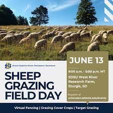 Sheep Grazing Field Day set