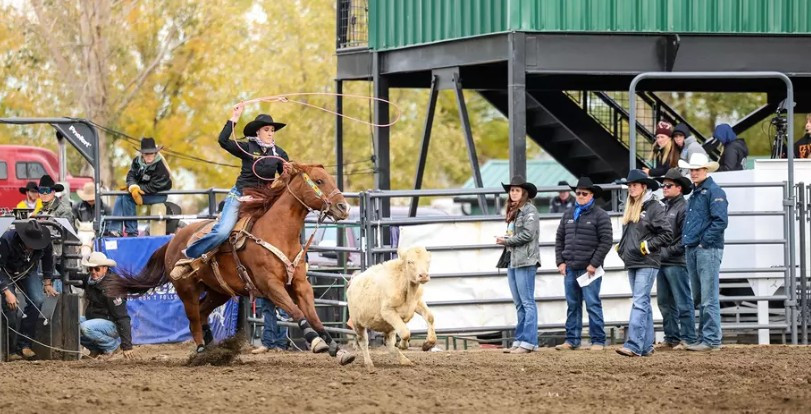 Yellow Jacket Stampede in Spearfish this weekend