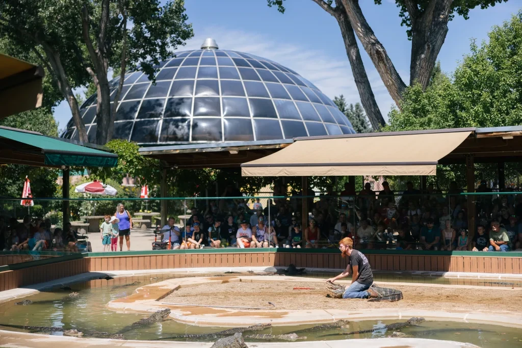 Reptile Gardens Reopens Following Fire