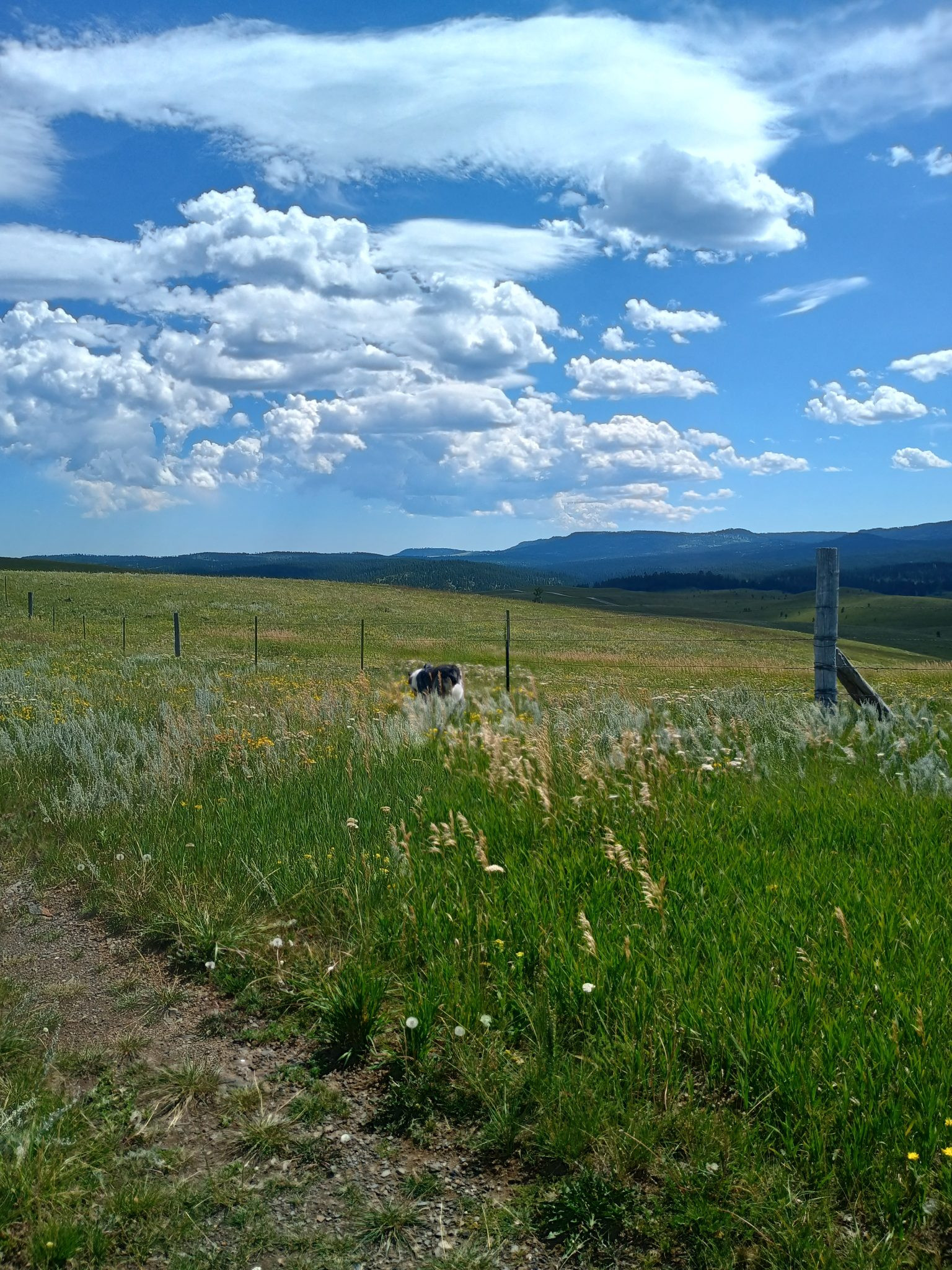 NDN Decries Permit Granted to Drilling Project Near Lakota Site
