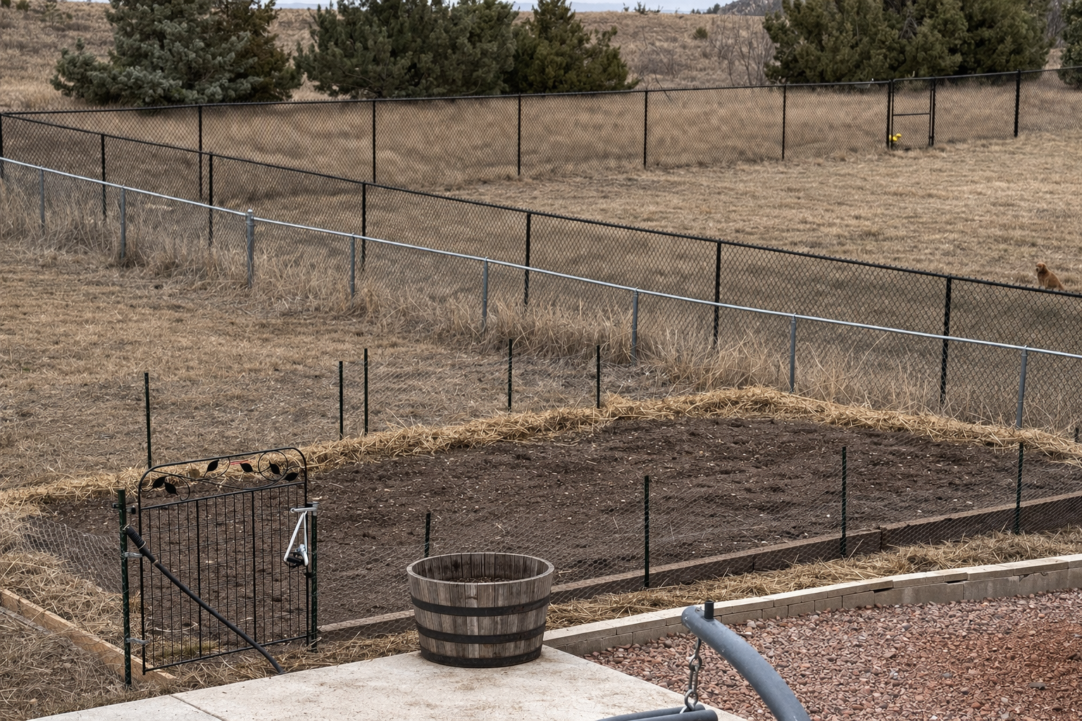 Is It Time to Start Your Garden in Rapid City? Here’s What to Know