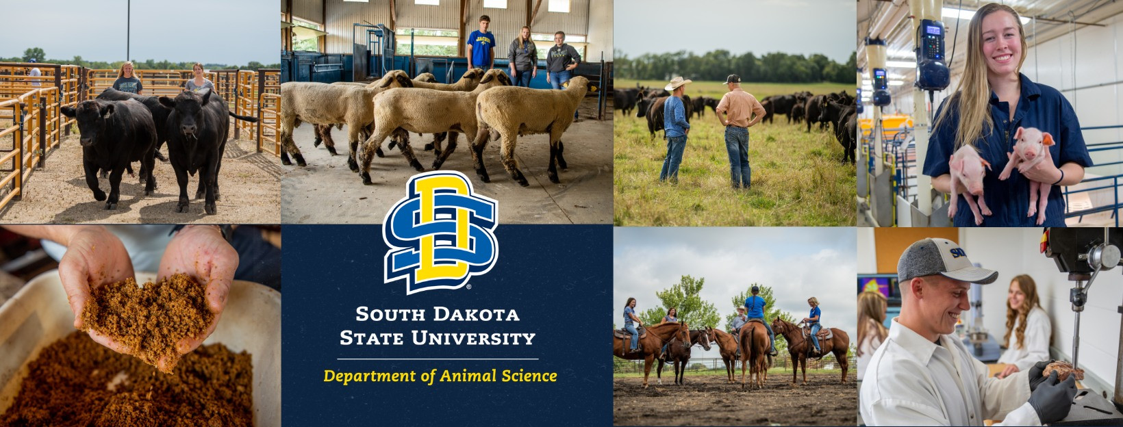 SDSU animal science department first to be accredited