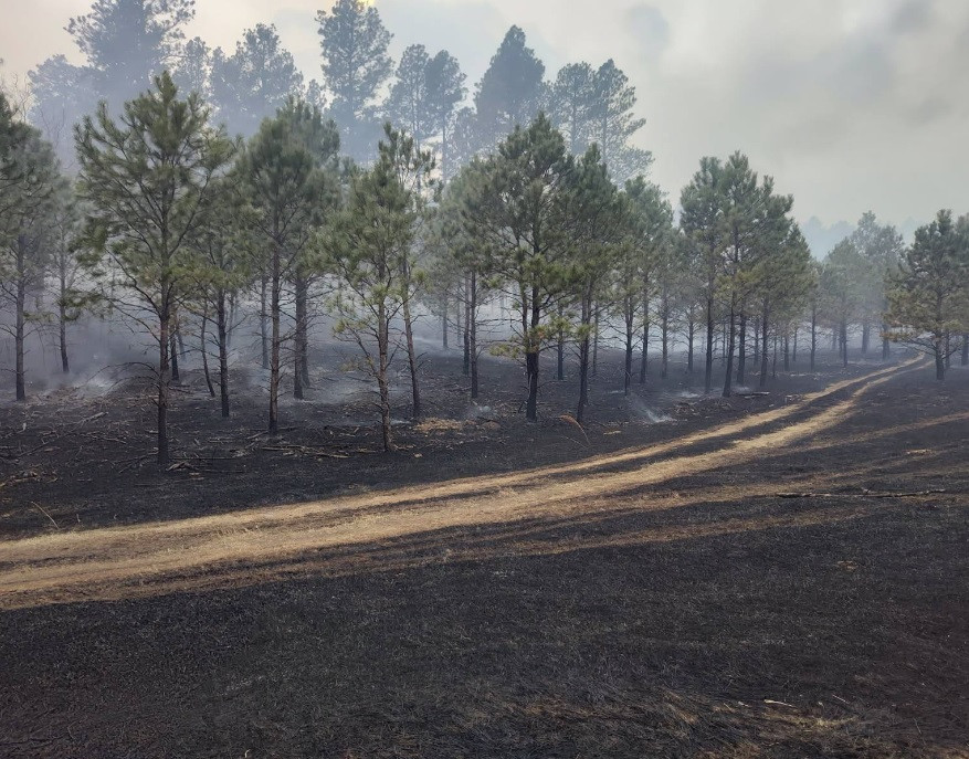 Fire near Rockerville leads to temporary evacuations