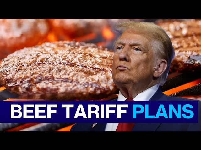 Trump delays move to lower tariffs on more beef imports