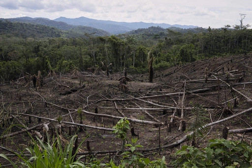 Cuts to USAID severed longstanding American support for Indigenous people around the world