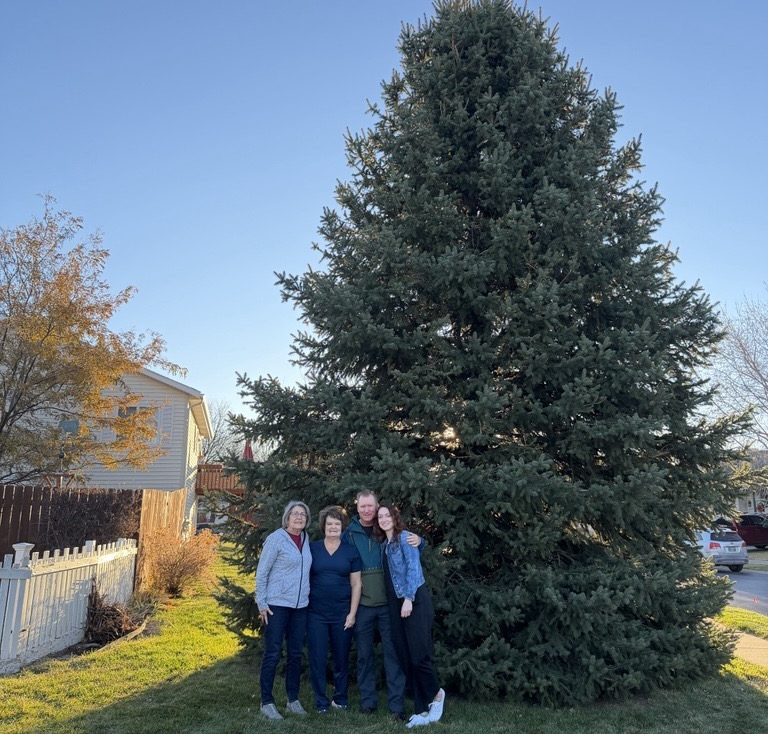 Christmas Tree Rises at Main Street Square as Holiday Season Begins