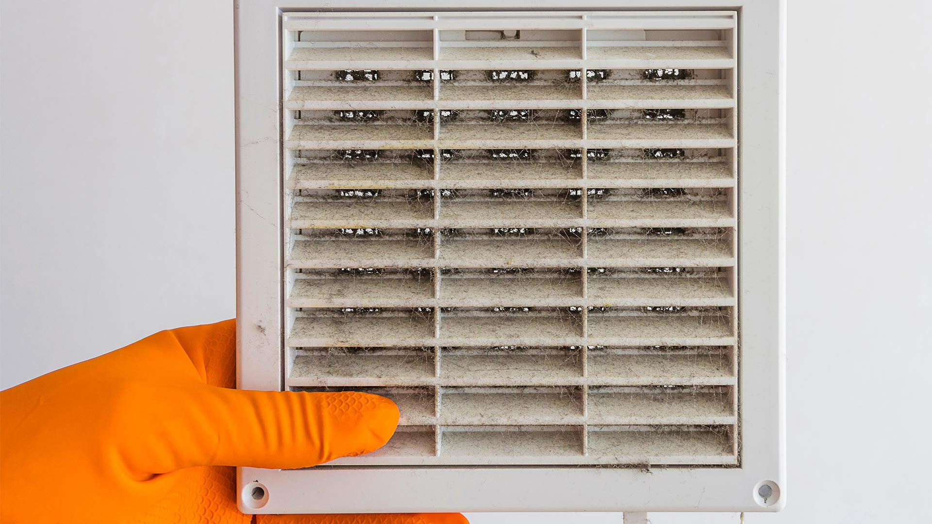 Spring Cleaning Tips for Rapid City: Areas You Might Be Forgetting