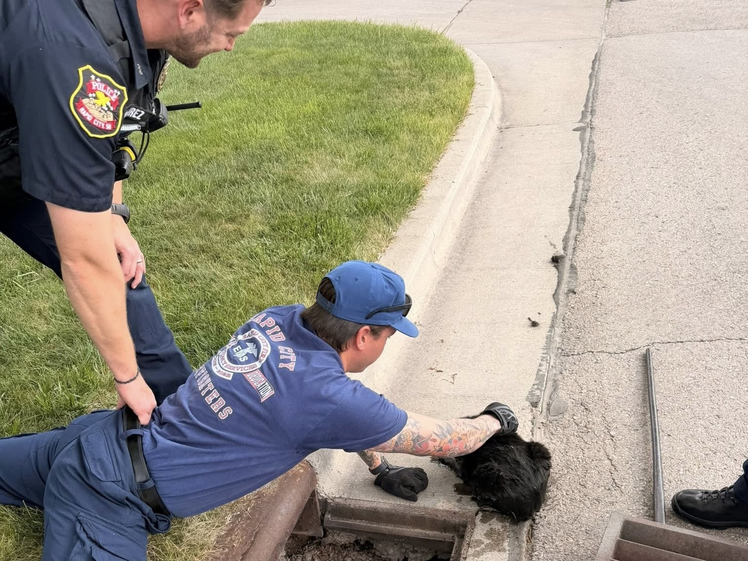 Joint Rescue Effort to Free Feline