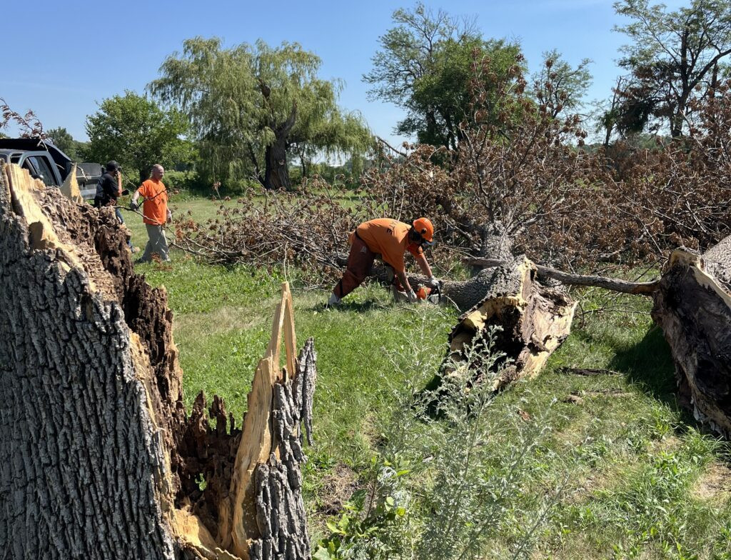 State fairgrounds undergoes extensive cleanup after tornado strikes Huron