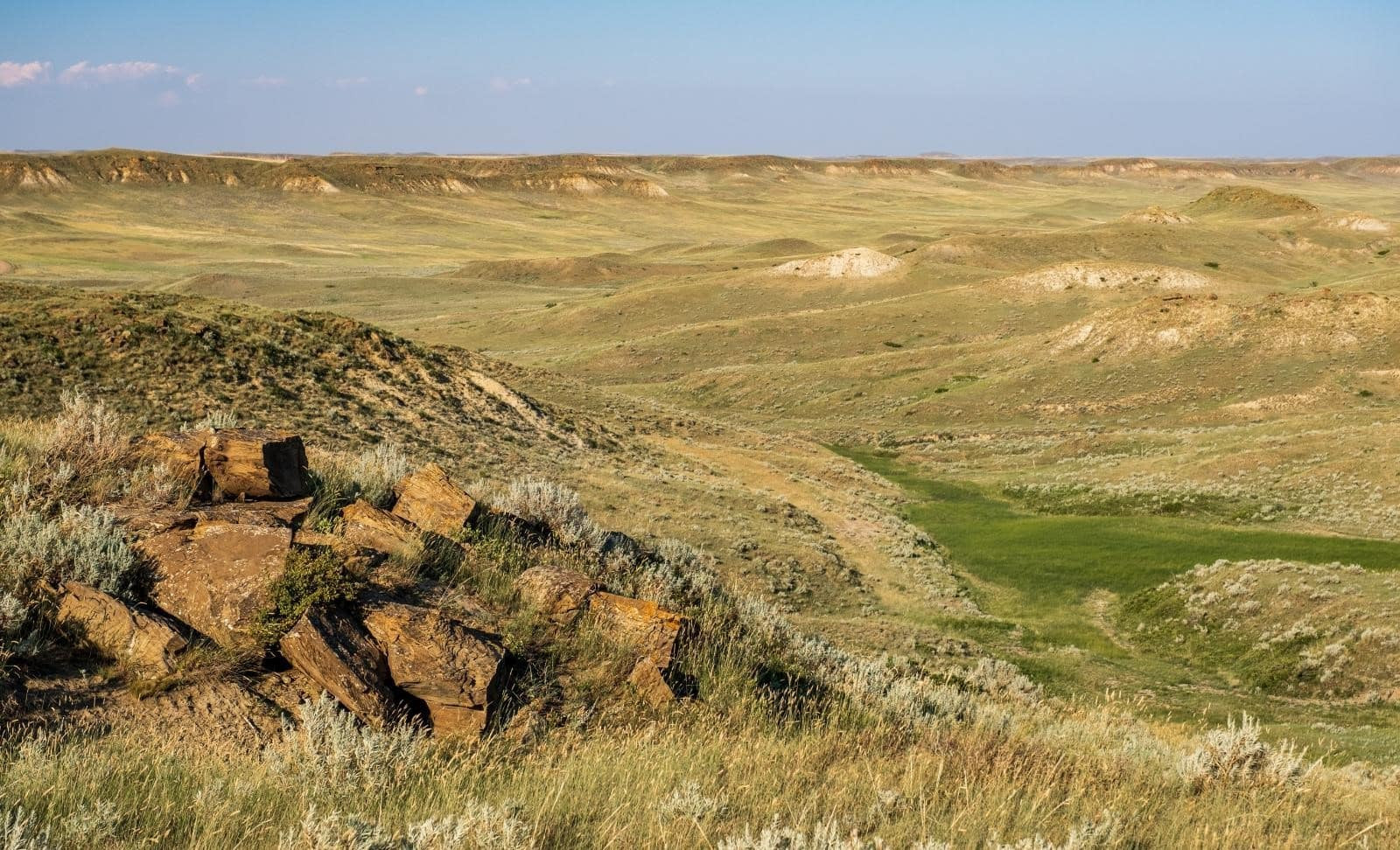 Bill would repeal BLM proposal