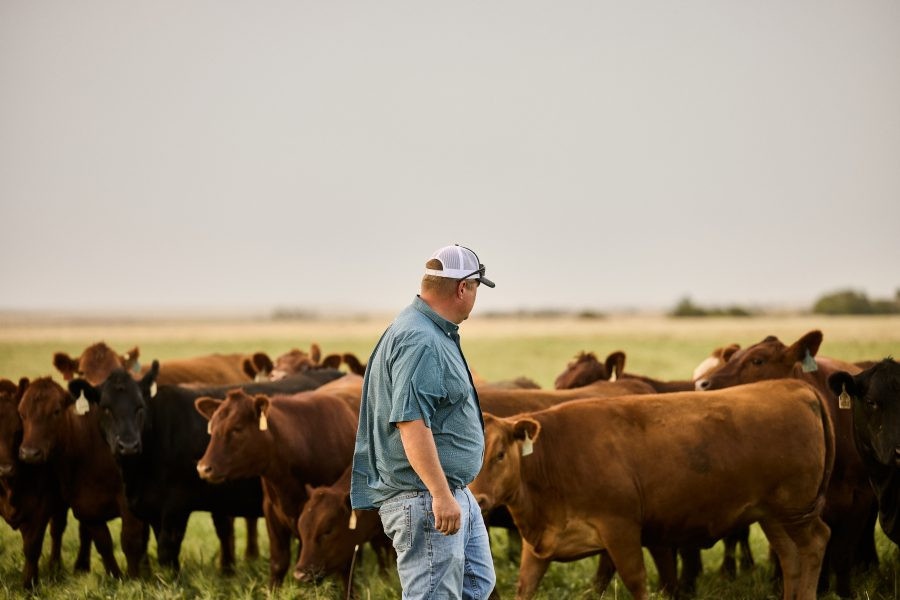 Forces That Will Shape the Rural Economy in 2025