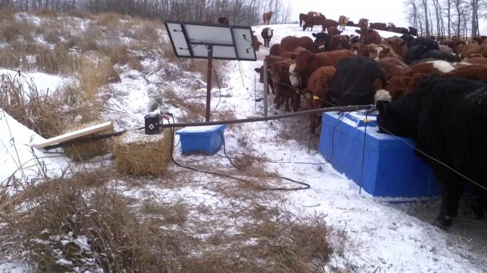 Cattle water systems get tech upgrade