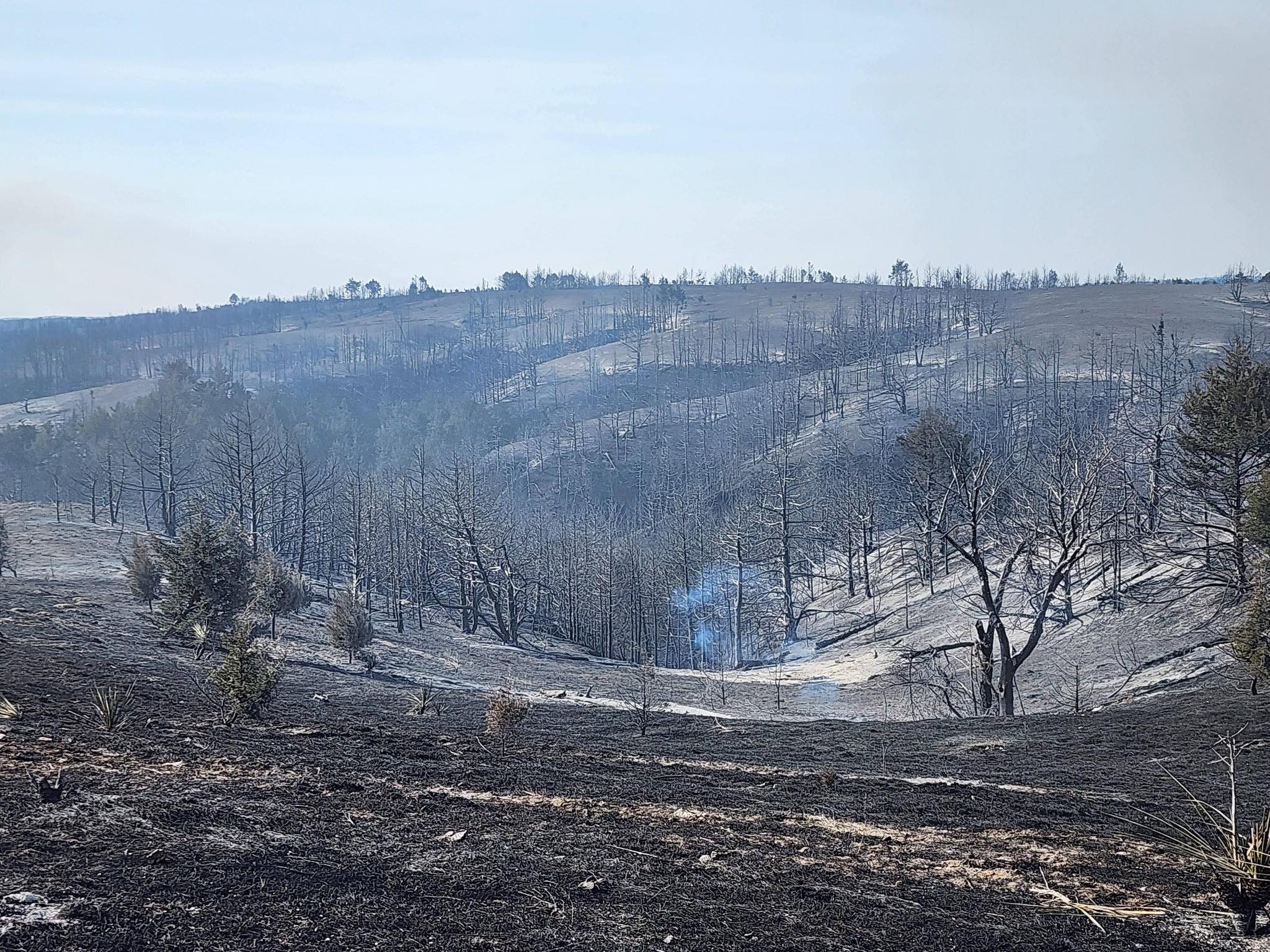 Ranchers share stories of surviving largest wildfire in Nebraska history