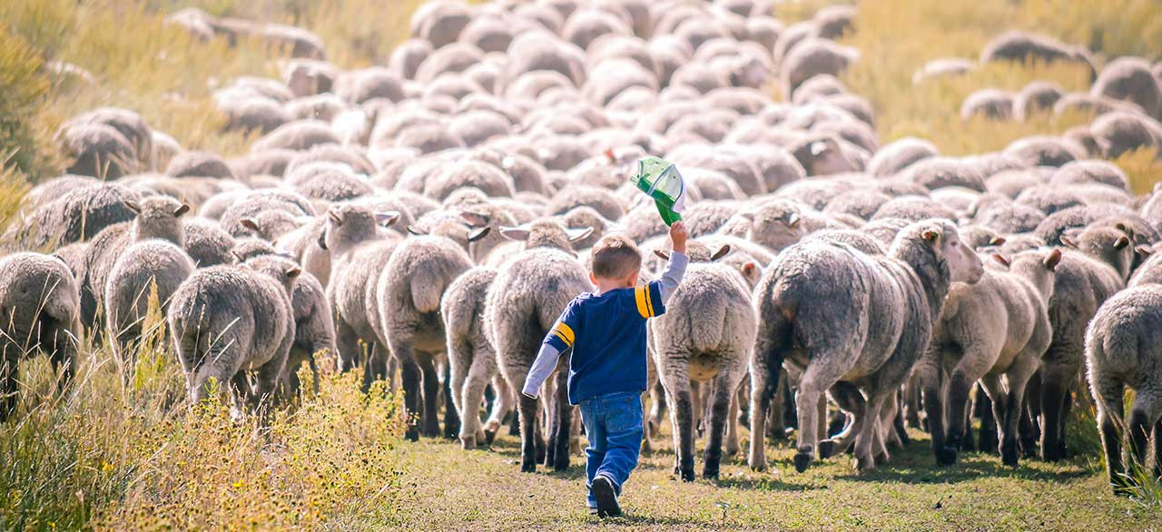 Across America, it’s National Ag Day