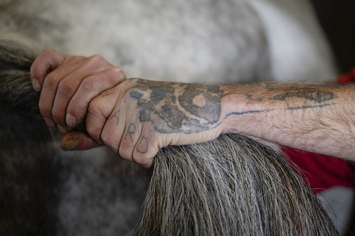 Horses on a Kentucky farm are helping men build sober lives, gain work and reunite families
