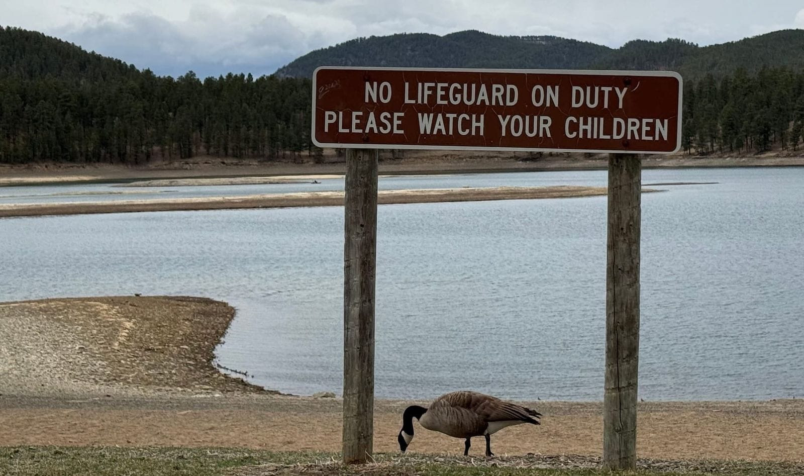 Pactola North Boat Ramp Set for Temporary Closure Starting Oct. 5