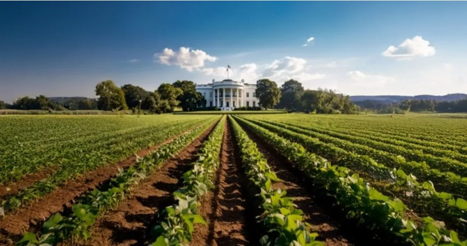 Failed trade policy results in $12B aid to U.S. farmers