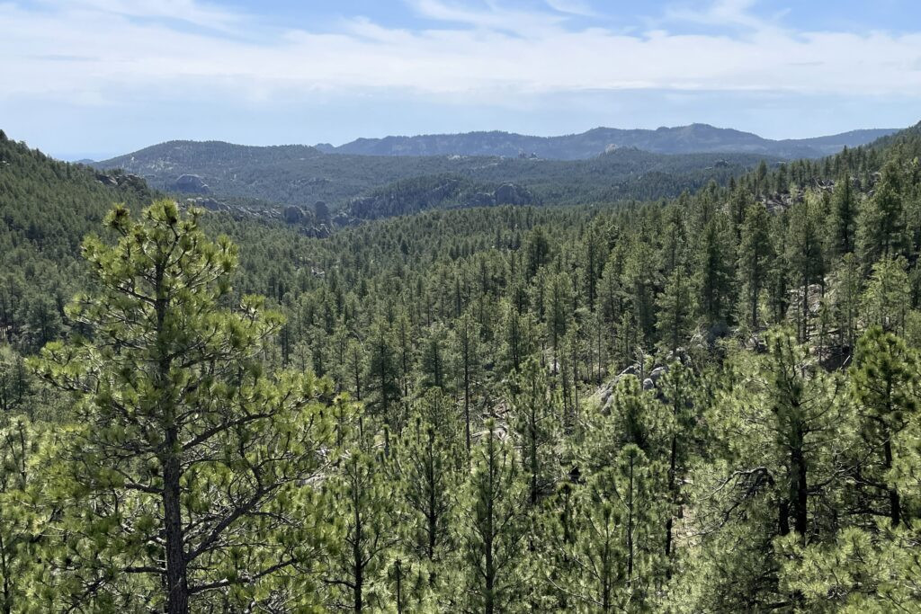 Forest Service and state of South Dakota sign agreement to work together on forest management