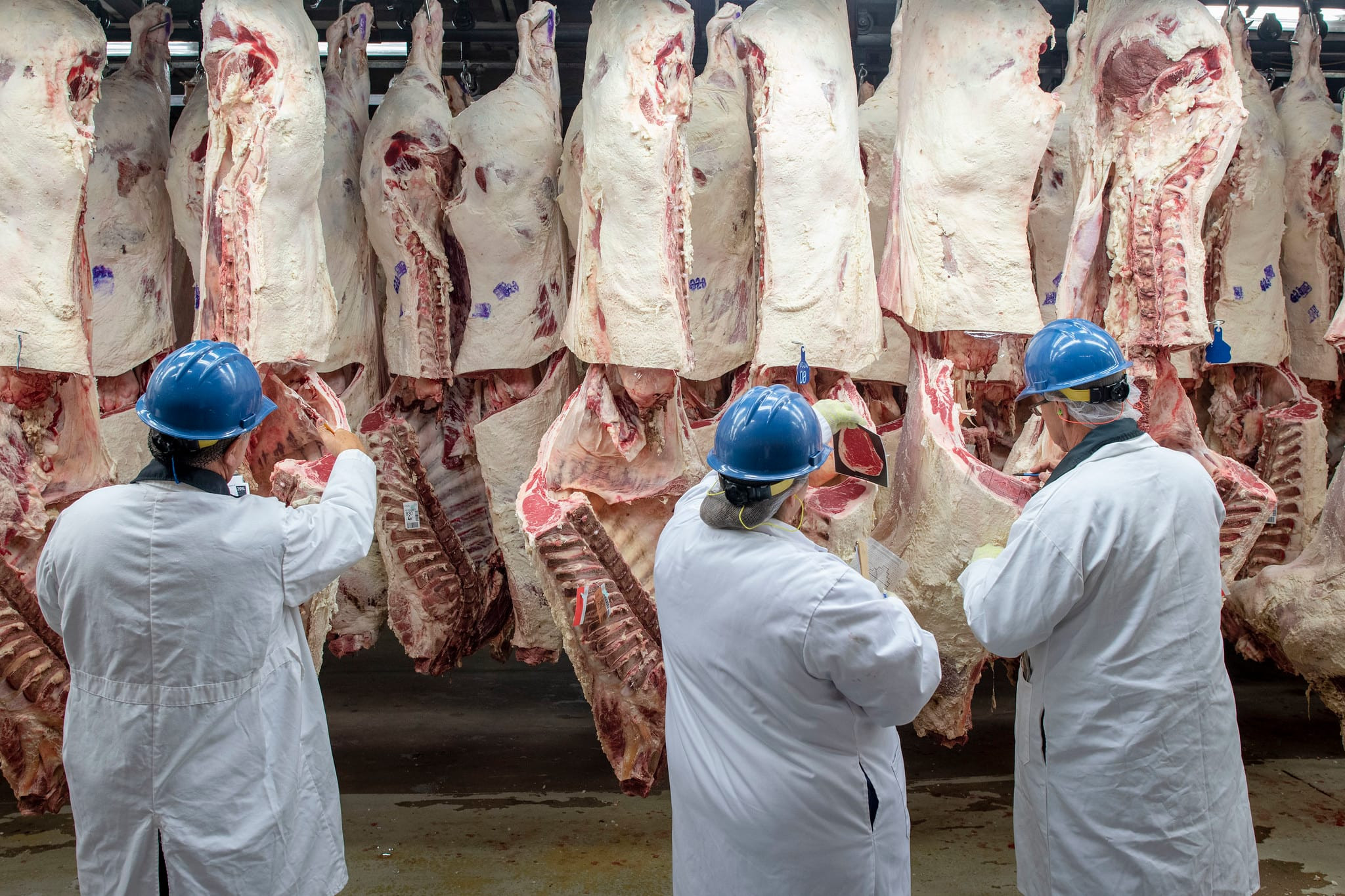 Nebraska meatpackers call on feds to deregulate industry