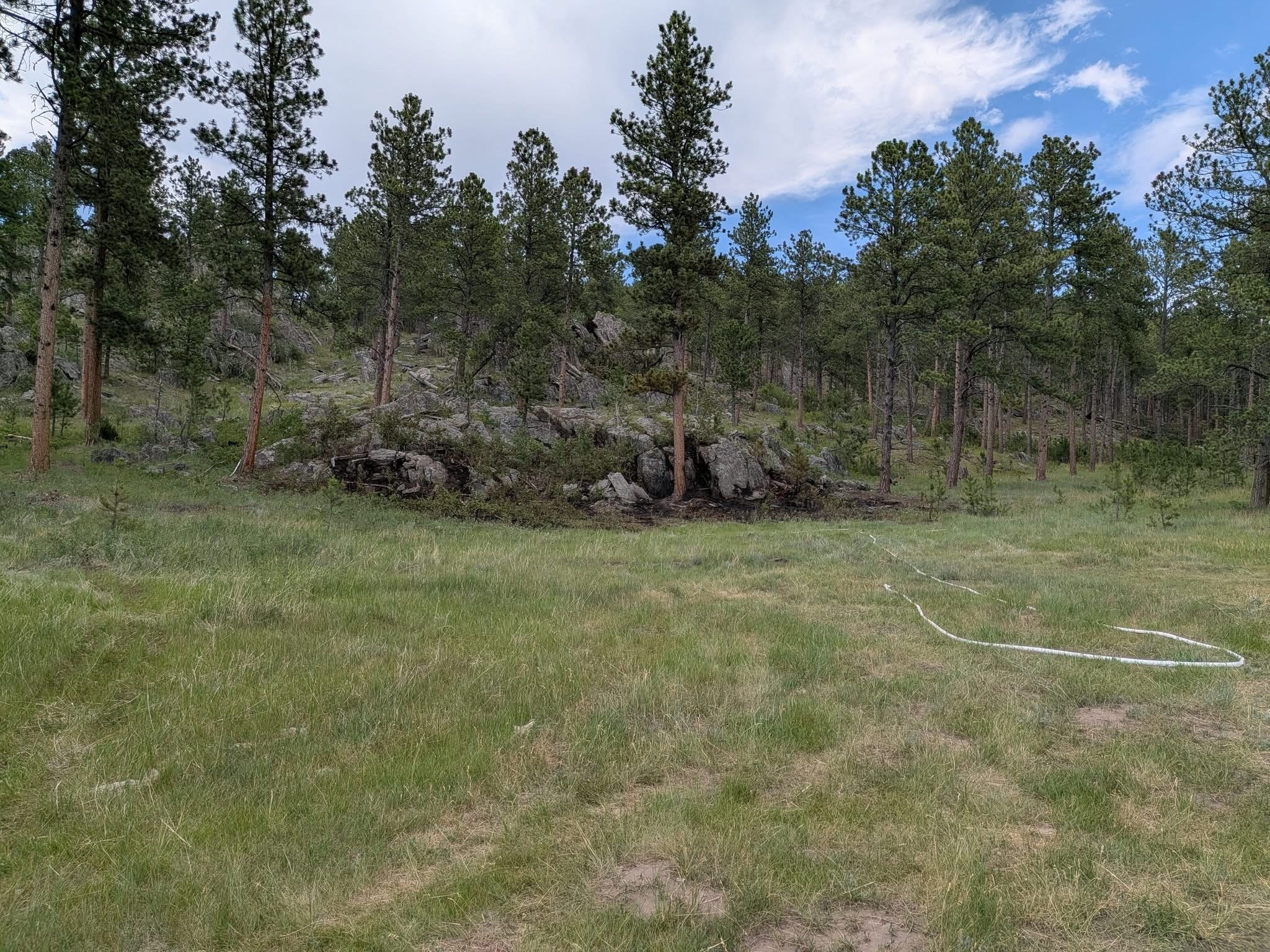 Unexploded Homemade Explosive Found After Black Hills Wildfire