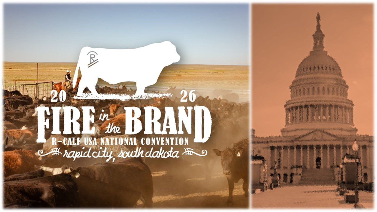 Advocacy, education, independent agriculture focus of “Fire in the Brand” convention
