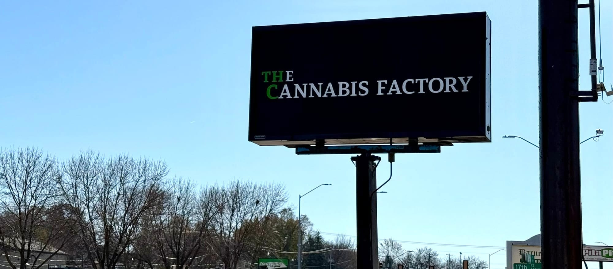 Cannabis defined: Everything to know about the plant