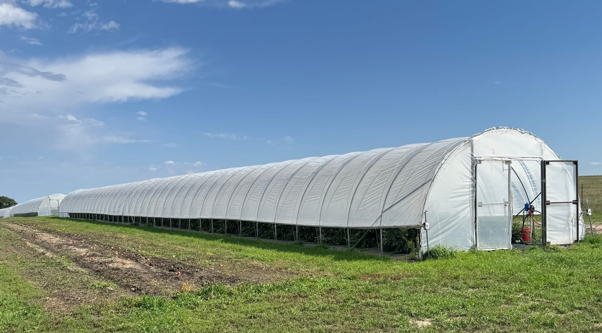 ‘Tunnel farming’ extends growing season by 4 months