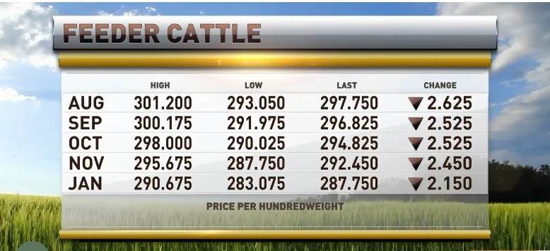 Markets fall on report of New World screwworm found in U.S. cattle, USDA says report not true