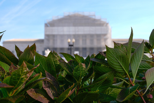 Louisiana prison guards cut a Rastafari inmate’s dreadlocks. Supreme Court will decide if he can sue