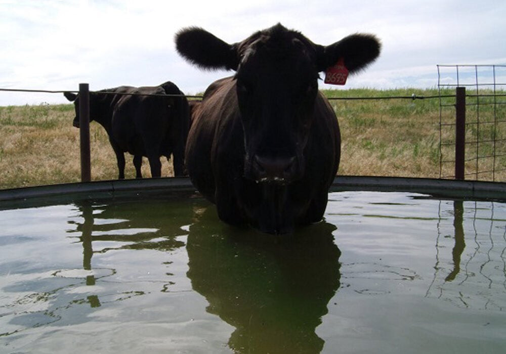 Free water testing offered through SDSU Extension