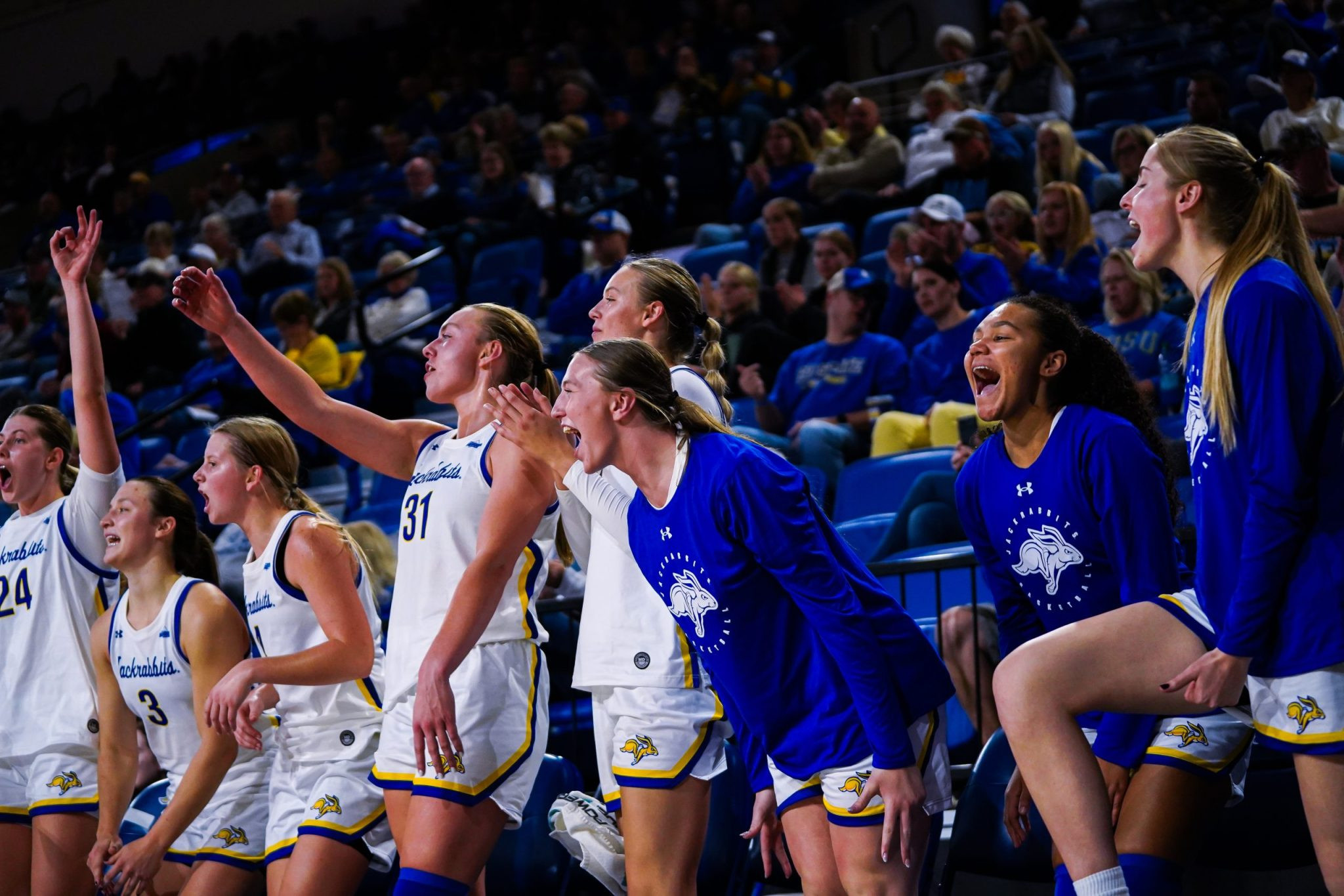 SDSU and Montana Set for Black Hills Basketball Battle
