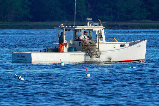 Consumers are lost at sea as seafood sustainability grows more complex