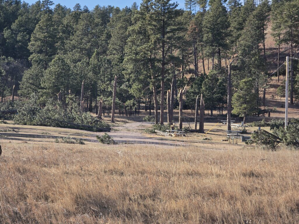 Custer State Park officials urge visitors to ‘stay safe’ as wind damage assessment, cleanup continue