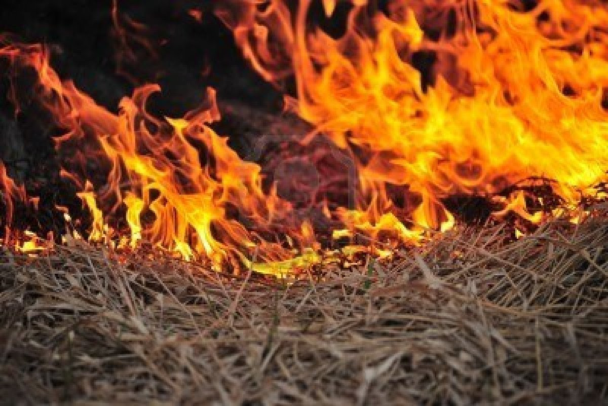 Meade County issues burn ban; Lawrence County enacts burn ban ordinance