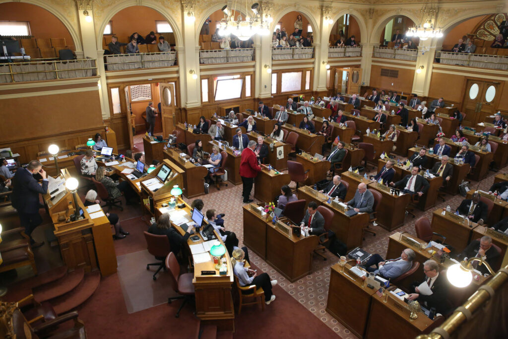Governor vetoes home care regulation bill